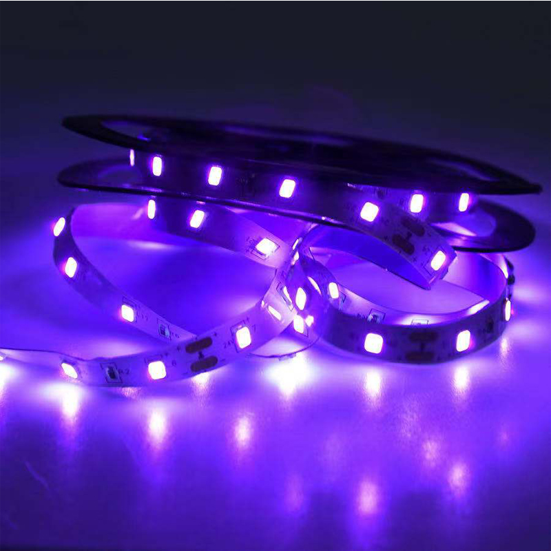 UV LED-ultraviolet licht, zwar - Uv Led Lamp Nail recensie en prijs